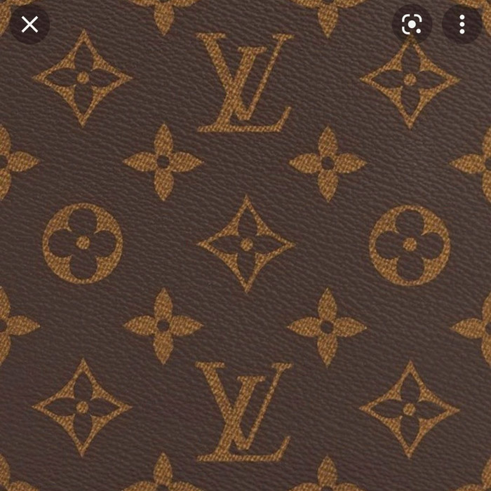  Chất liệu Monogram Canvas