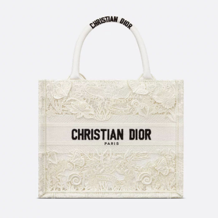 Small Dior Book Tote 